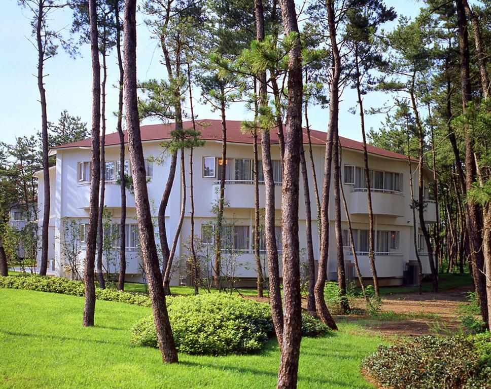 Cottage Himuka Миядзаки Номер фото
