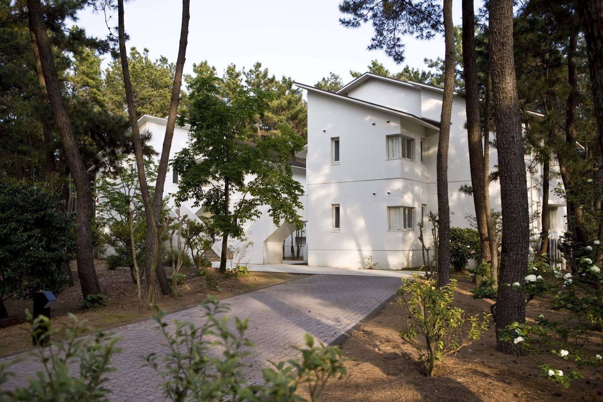 Cottage Himuka Миядзаки Экстерьер фото